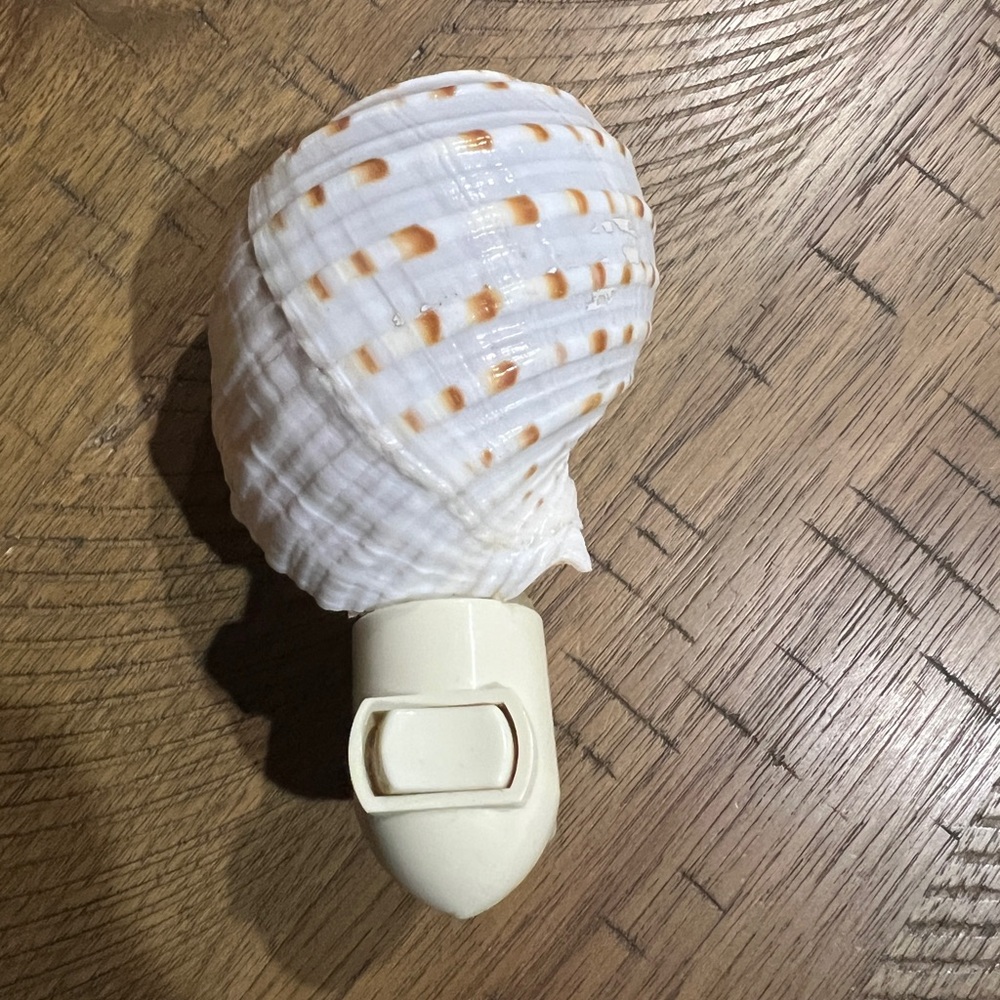 Seashell Nightlight